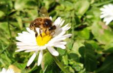 El rincón de Soto - Foto 24