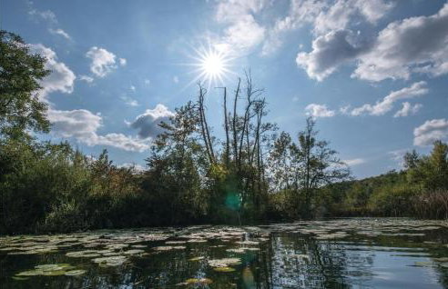 Beautiful Home In Gornji Zvecaj - Foto 56