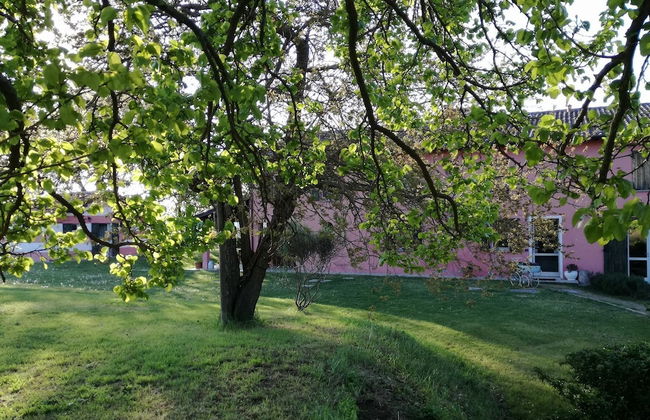 Agriturismo Morattina - Foto 34