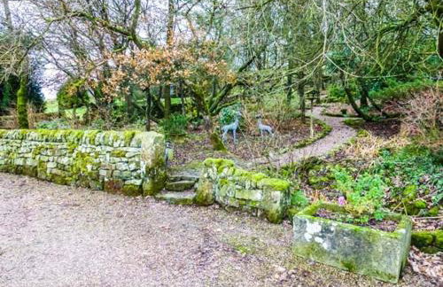 Moorlands Farm Cottage - Foto 7