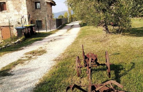 Casale dei 3 galli - Foto 36