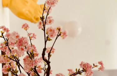 Villa Lepois & Spa 5 étoiles au cœur de Nancy - Foto 20