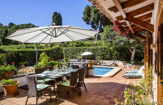 Mirlo Canta - Foto 4