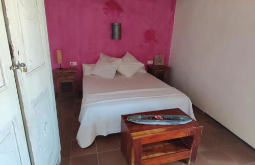 El Terral - Photo 57