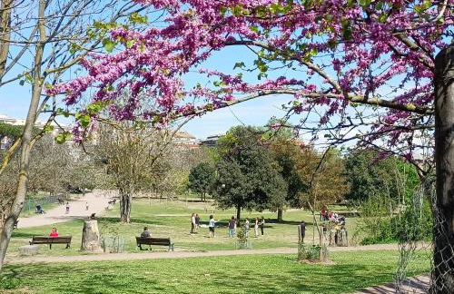 Casa mia Metro A 100mt - Foto 67