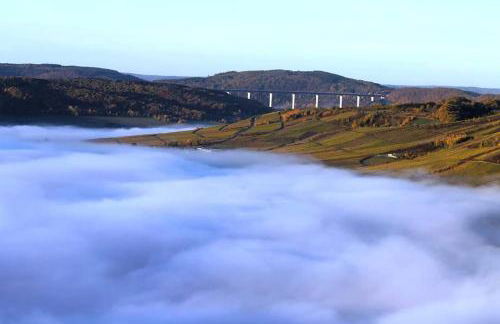 Gästehaus Steuer - Foto 16
