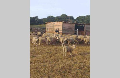 Maison typique de campagne au cœur de la nature . - Foto 4