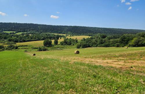 Agroturystyka Bocianie Gniazdo - Foto 25