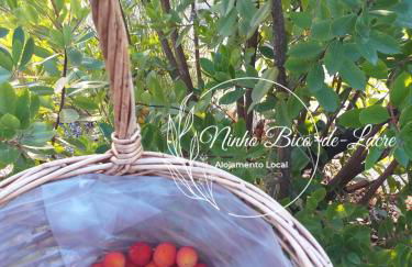 Ninho Bico-de-Lacre ~ o paraíso é a/na Terra - Foto 35