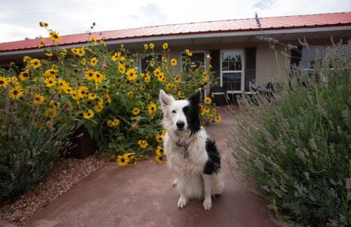 The Flagstone Boutique Inn & Suites - Foto 43