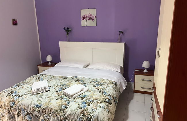 The Artists - Foto 29