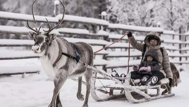 Divertissement garanti !