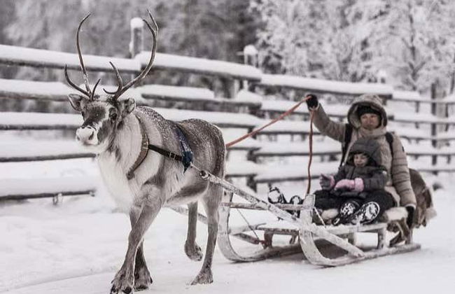 Balade en traîneau tiré par des rennes - Foto 5