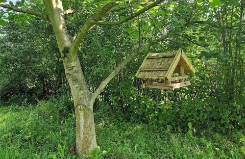 Naturnahes Wohnen in einem alten Haus mit Garten - Foto 69