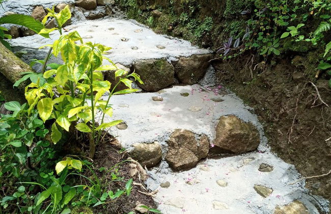 Berkey's Jungle Paradise - Photo 49