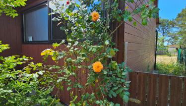 Circuit Paul Ricard Chalet au Castellet - Foto 5, Garden view