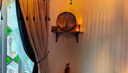 L'Aristoloche - Foto 5