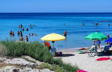 WalMarhouse - Foto 28