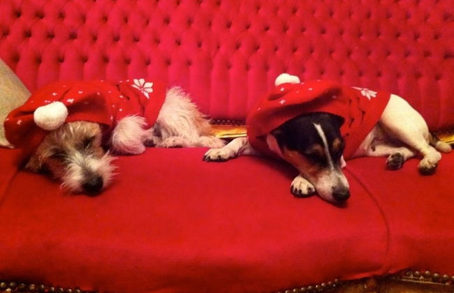 Boutique Bijoux Garden Flat in Vibrant Oval - Foto 11