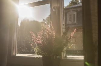 Pałac i Folwark Brzeźnica - Foto 44