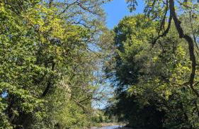 Tranquil Cabin Retreat- Sleeps 2 Parking - Foto 18