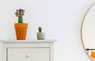 The Plywood Flat, Modern Style In A Traditional Tenement - Foto 12