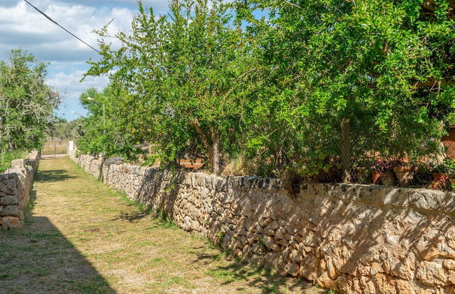 Can Fiolet in Algaida - Foto 29