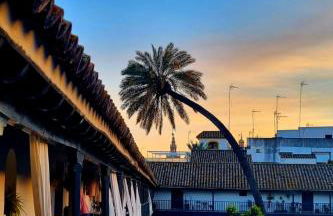 Andalusian Courtyard - Foto 68