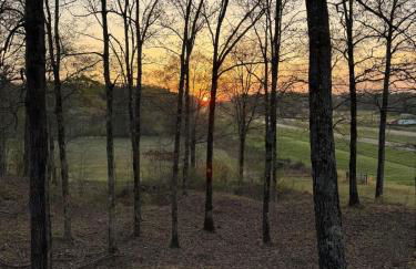 Dream of a Log Cabin - Foto 5