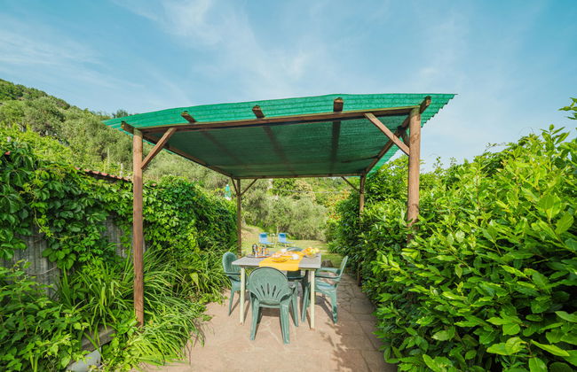 Margherita - Foto 24