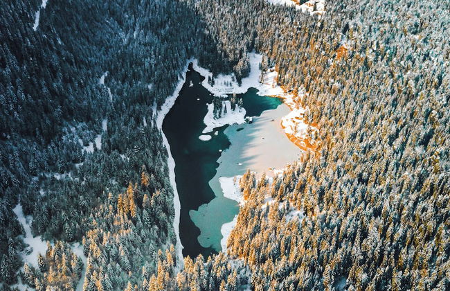 VISIMO Apartments Flims with private sauna - Foto 33