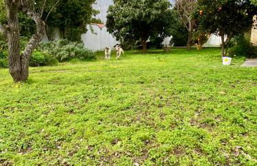 Salento Appartamenti - Foto 72