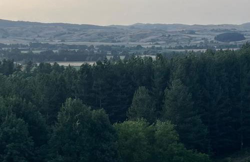 Tree House - Foto 16