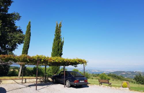 Agriturismo Le Casaline - Foto 11