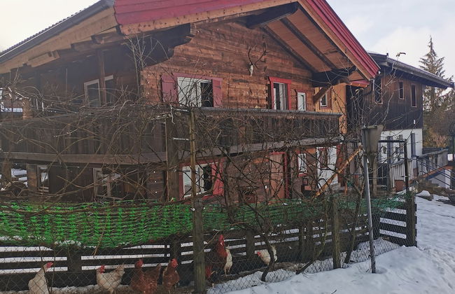 Kaiserhaus Harald Astner Ebbs Studio 2 - Foto 28