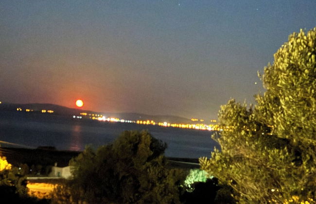 Zeus kır evi - Photo 68