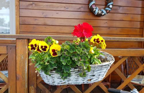 Domki Fala Family - Foto 46