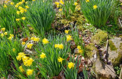 Lakefront Home with Deck, Near Mammoth Cave Park! - Foto 37