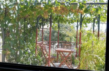 SUMMER TIME - Photo 28