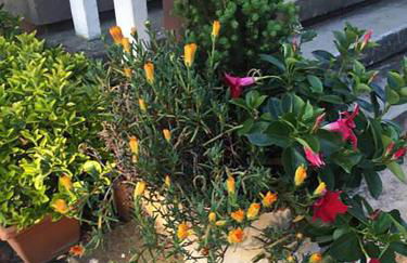 Agriturismo Villa Dei Gelsi - Photo 64