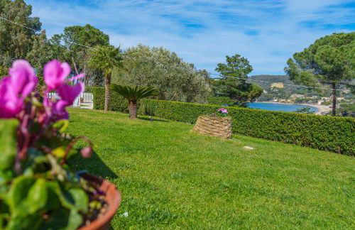 Marina VIP - Foto 30