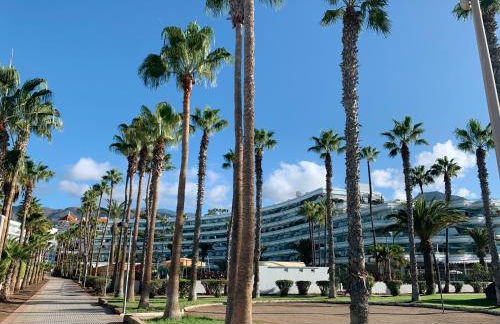 Altamira ocean views one bedroom - Foto 7