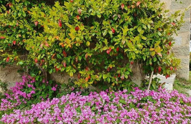 Tranquility at Bellavista - Foto 28