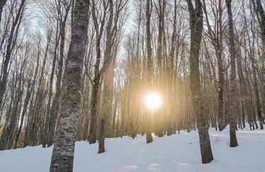 La Transiberiana - Foto 17