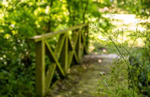 Foxhole Cottage - Foto 59