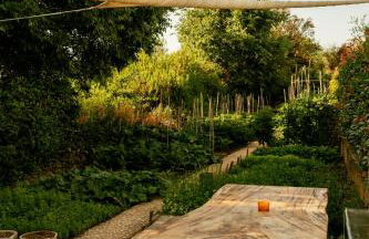 Galboka Residence - Foto 13