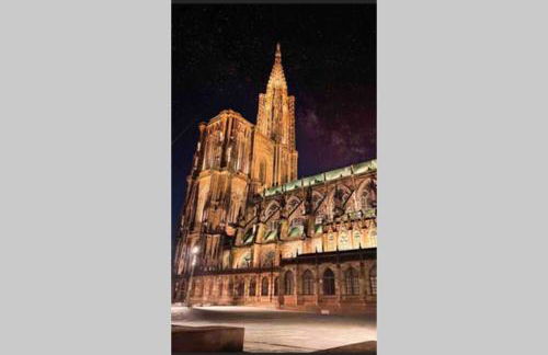 Coeur Alsace - Foto 56