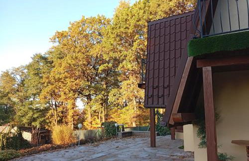 Szumią Dęby - Marcyporęba - Photo 43