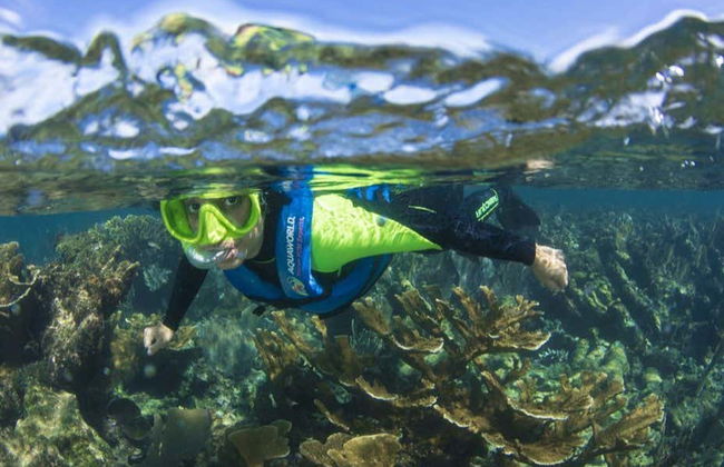 MUSA Snorkeling Tour - Foto 3