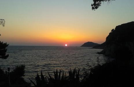 Apartment Lujak - Foto 49